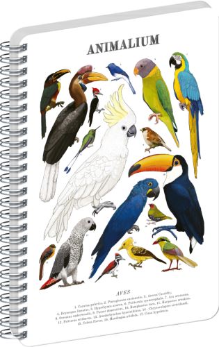 Blok spirálový Animalium – Animalium – Ptáci - čistý - A4   A-37271