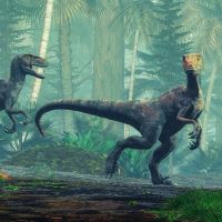 Kalendář poznámkový - Dinosauři 2027 - 30 x 30 cm   PGP-36306-V (6)