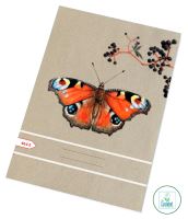 Sešit 464  A4 (linka)   RECY