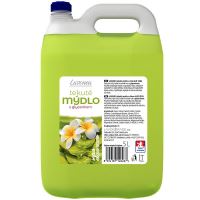 Mýdlo tek.LAVON 5L  Aloe Vera