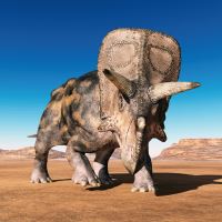 Kalendář poznámkový - Dinosauři 2027 - 30 x 30 cm   PGP-36306-V (10)