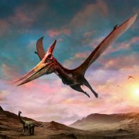 Kalendář poznámkový - Dinosauři 2027 - 30 x 30 cm   PGP-36306-V (9)