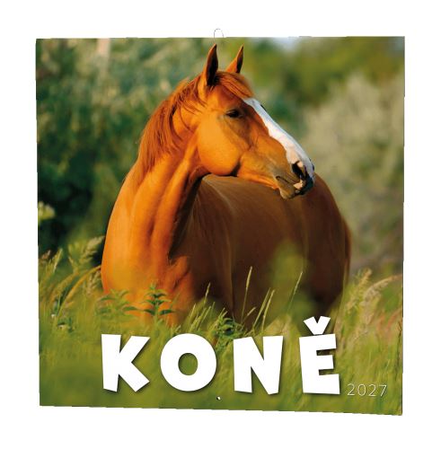 Kalendář nástěnný - Koně   BNL3-27