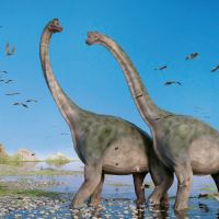 Kalendář poznámkový - Dinosauři 2027 - 30 x 30 cm   PGP-36306-V (3)
