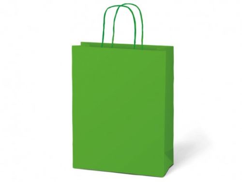 Taška dárková T 5 kraft 260x320x100 zelená   5251226