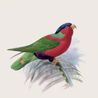 Kalendář poznámkový - Ptáčci 2027 - PLASTIC FREE - 30 x 30 cm   PGP-36977 (10)