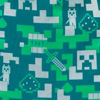 Sáček na obuv MINECRAFT Silver Creeper   A-33221 (5)