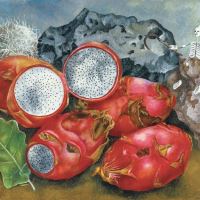 Kalendář poznámkový - Frida Kahlo 2027 - 30 x 30 cm   PGP-36829-V (9)