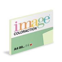 Papír COLORACTION A4/80g/100 Pastelově světle zelená - GN27 Jungle (2)