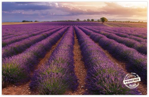Podložka na stůl  INSPIRATION PROVANCE  3962