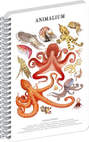 Blok spirálový Animalium – Hlavonožci - linkovaný - A4   A-37261