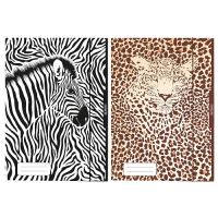 Desky s gumičkou A3 Animal Print - 2 motivy 50036622
