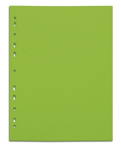 Rozdruž. A4/250g (ZELENÁ)              100ks1