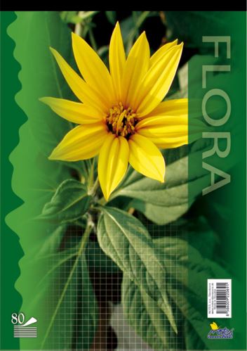 Blok A4 šitý 14085/4b (čtvereček) 5x5  NOTES