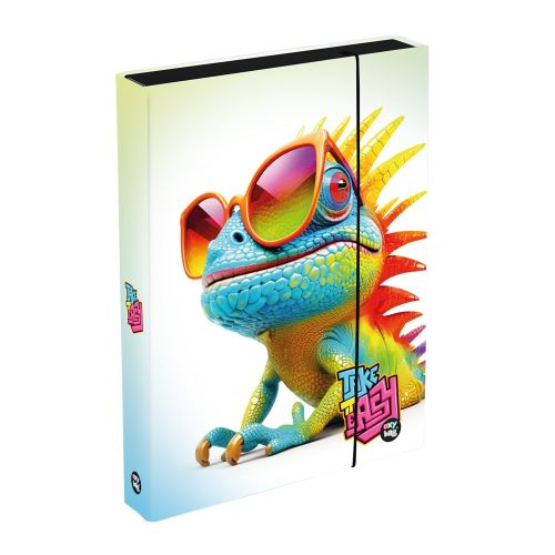 Box na školní sešity A4 Jumbo Chameleon 1-46725