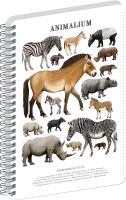 Blok spirálový Animalium – Lichokopytníci - čtverečkovaný - A4   A-37269