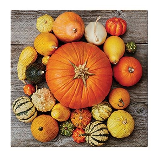 Ubrousky PAW 33x33cm Pumpkin Composition