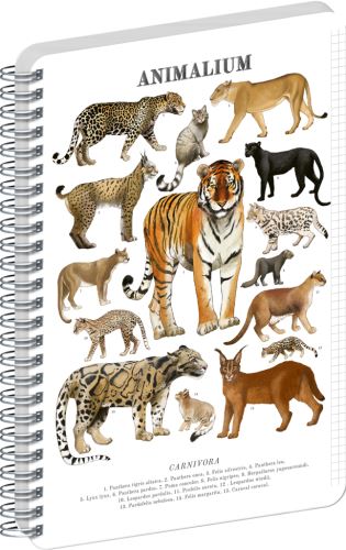 Blok spirálový Animalium – Kočkovité šelmy - čtverečkovaný - A5   A-37266